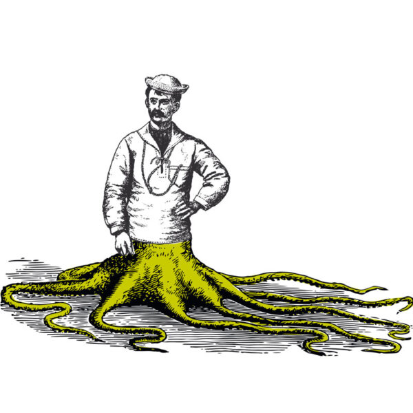 Oktopus-Matrose