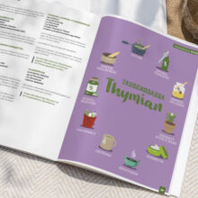 Tausendsassa Thymian geöffnet