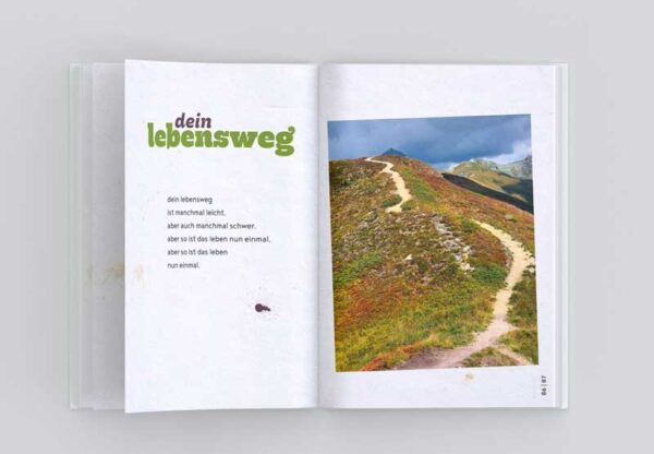 bergschreiber1 Bergschreiber offen